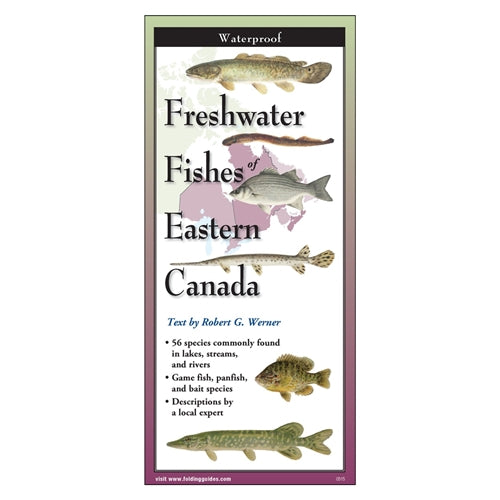 Freshwater Fishes of Eastern Canada (Folding Guide)  - Earth Sky + Water