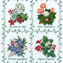 Eastcoast Berries Cross Stitch Kit - Foxberry Cottage