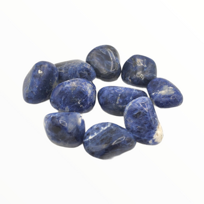 Sodalite - Tumbled Rocks (10 Pack)