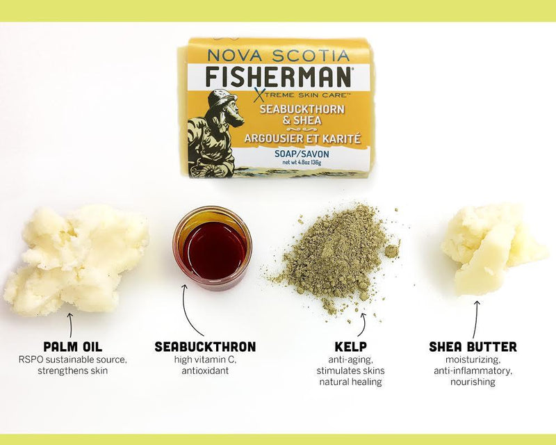 Nova Scotia Fisherman Seabuckthorn & Shea Body Wash Bar
