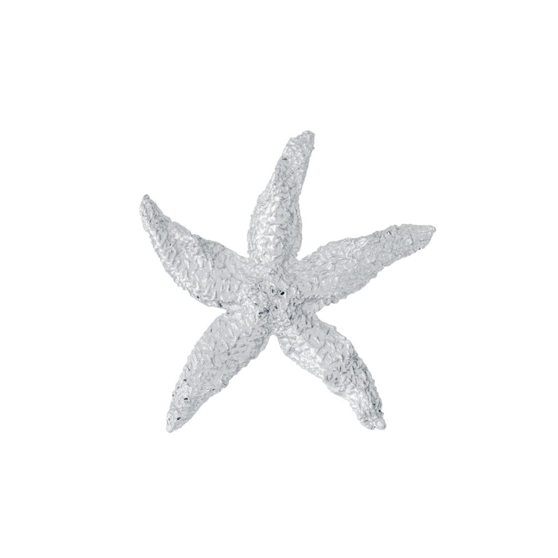 Starfish Beach Treasure - Amos Pewter