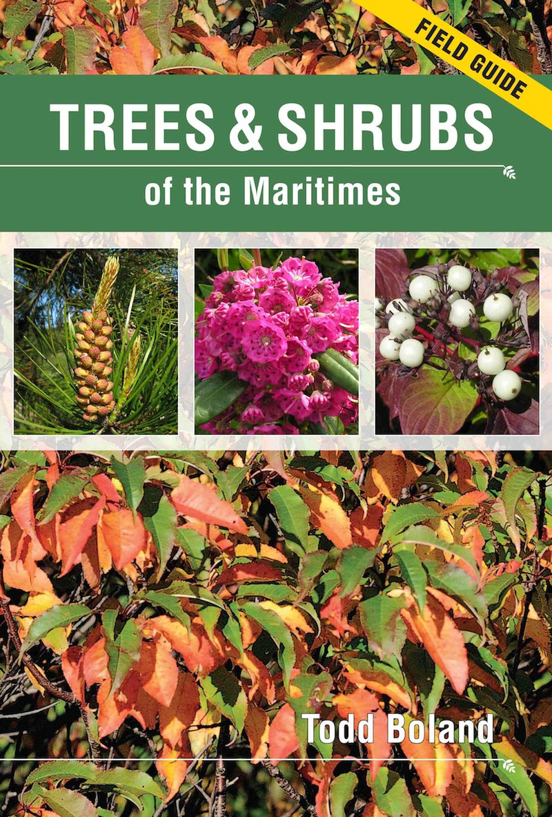 Trees and Shrubs of the Maritimes: Field Guide - Todd Boland